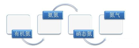 污水廢水處理總氮去除方式